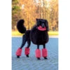 Show Tech Pom Covers Polka Dots For Middle-Sized Poodle 2 Show Tech Pom Covers Polka Dots For Middle-Sized Poodle -Pawfect Care Store 35ste161 d4pphjfgqbhd666r
