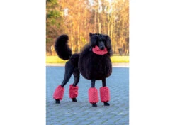 Show Tech Pom Covers Polka Dots For Middle-Sized Poodle