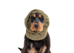 Show Tech Snood Luxe Royal Spaniël Gold Ear Covers