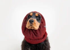 Show Tech Snood Luxe Royal Spaniël Red Ear Covers -Pawfect Care Store 35ste169 11 l8vdlsg0dt4h2poh