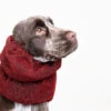 Show Tech Snood Luxe Royal Spaniël Red Ear Covers -Pawfect Care Store 35ste169 13 g1ffjjem0m4ioqna