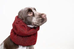 Show Tech Snood Luxe Royal Spaniël Red Ear Covers
