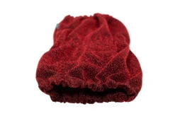 Show Tech Snood Luxe Royal Spaniël Red Ear Covers -Pawfect Care Store 35ste169 4 9e4i8crh2dseelxw
