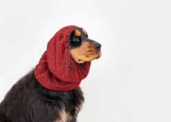 Show Tech Snood Luxe Royal Spaniël Red Ear Covers -Pawfect Care Store 35ste169 8 xggdzhonxsfo4ldp