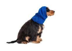 Show Tech Snood Luxe Royal Spaniël Blue Ear Covers 19 Show Tech Snood Luxe Royal Spaniël Blue Ear Covers -Pawfect Care Store 35ste170 5 9ly0rktnkhaxajle