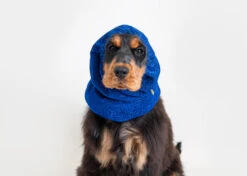 Show Tech Snood Luxe Royal Spaniël Blue Ear Covers 20 Show Tech Snood Luxe Royal Spaniël Blue Ear Covers -Pawfect Care Store 35ste170 6 59vt9n7o4agcbkcy