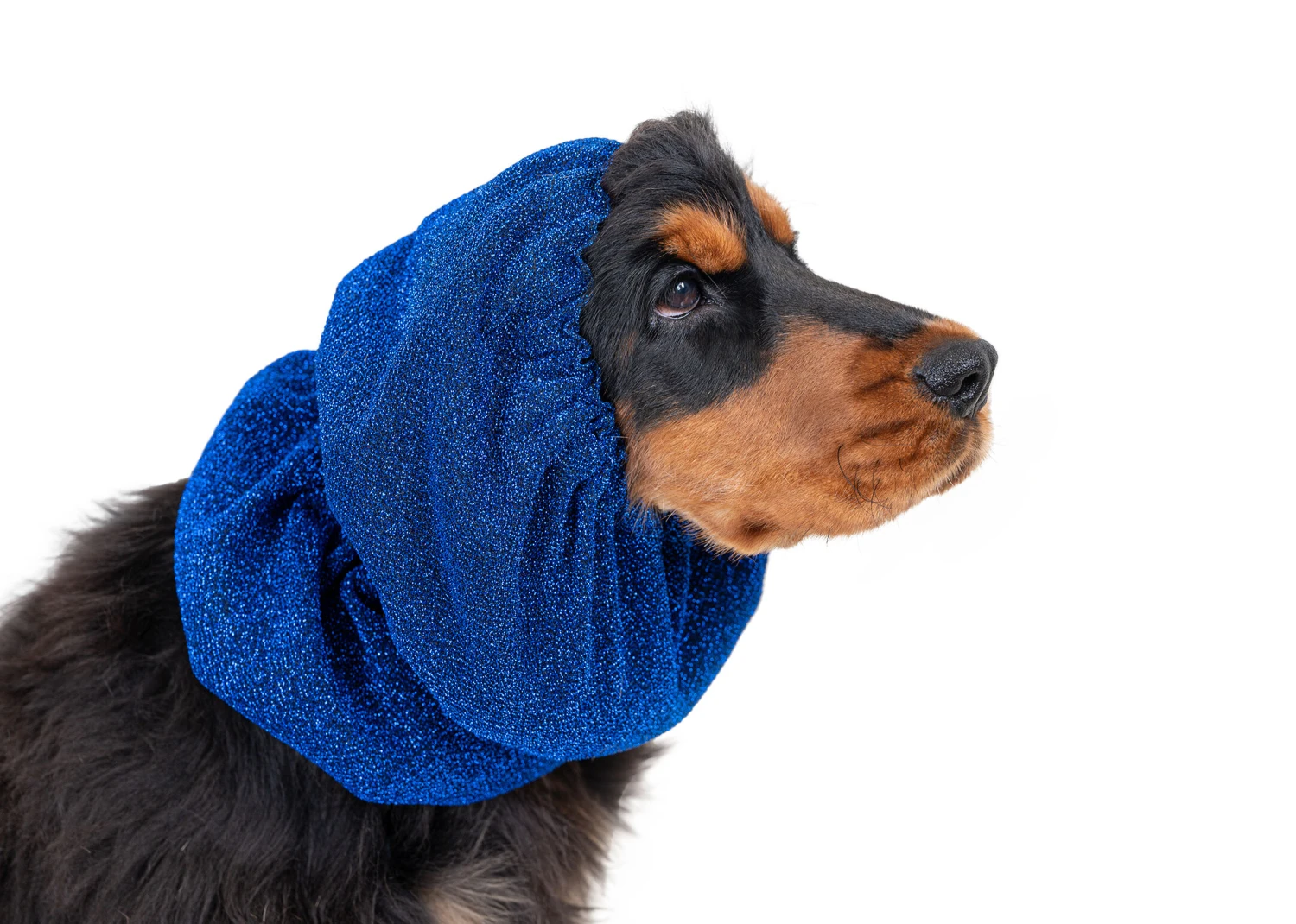 Show Tech Snood Luxe Royal Spaniël Blue Ear Covers 3 Show Tech Snood Luxe Royal Spaniël Blue Ear Covers