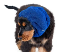 Show Tech Snood Luxe Royal Spaniël Blue Ear Covers 21 Show Tech Snood Luxe Royal Spaniël Blue Ear Covers -Pawfect Care Store 35ste170 8 j7alibek7y5brsyw