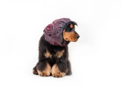 Show Tech Snood Luxe Galaxy Spaniël Pink Ear Covers -Pawfect Care Store 35ste174 8 vjlxmwnq5mbya5hc