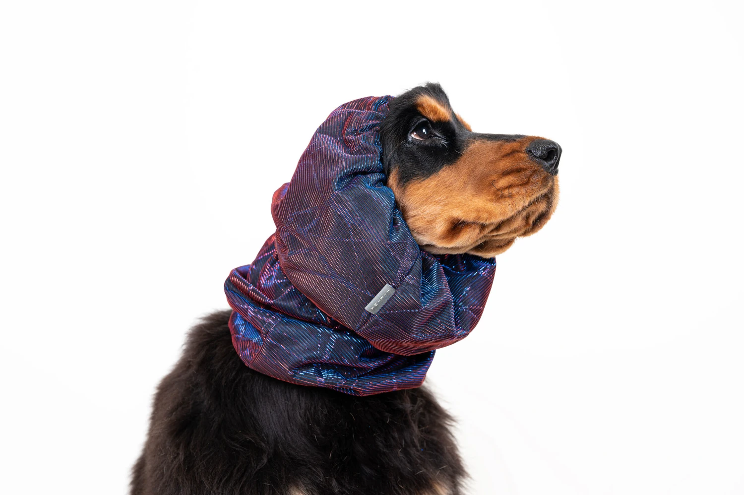 Show Tech Snood Luxe Galaxy Spaniël Purple Ear Covers 13 Show Tech Snood Luxe Galaxy Spaniël Purple Ear Covers - Image 11