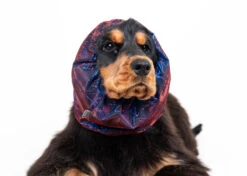 Show Tech Snood Luxe Galaxy Spaniël Purple Ear Covers