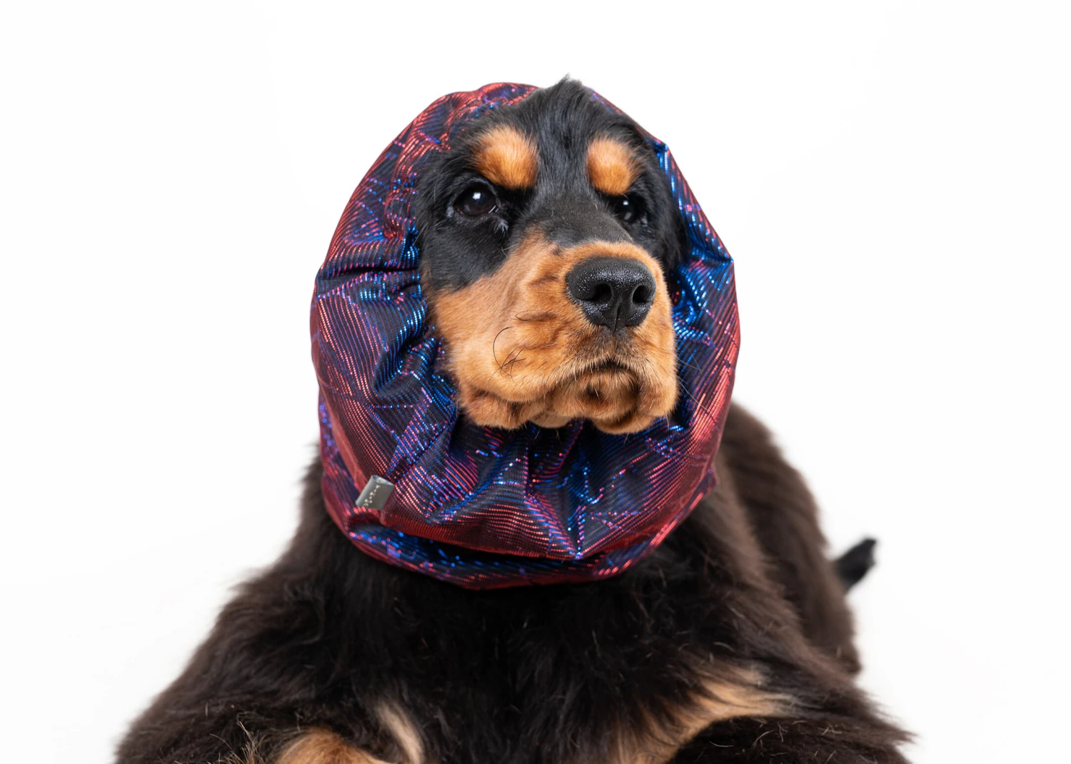 Show Tech Snood Luxe Galaxy Spaniël Purple Ear Covers 3 Show Tech Snood Luxe Galaxy Spaniël Purple Ear Covers