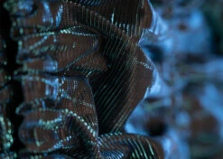 Show Tech Snood Luxe Galaxy Spaniël Blue Ear Covers -Pawfect Care Store 35ste176 4 9t8wawyxudfzr2jf