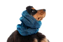 Show Tech Snood Luxe Galaxy Spaniël Blue Ear Covers