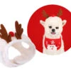 Show Tech Xmas Hat L 1 Show Tech Xmas Hat L -Pawfect Care Store 35ste177 1 a4yggropuotj1ih6