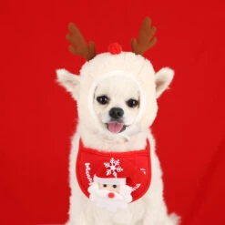 Show Tech Xmas Hat L -Pawfect Care Store 35ste177 4 zzxmfpsdogyrqurg