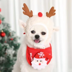 Show Tech Xmas Hat L -Pawfect Care Store 35ste177 5 sdx6s41grlvhj91d