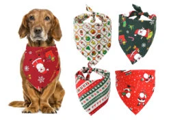 Show Tech Xmas Bandana Set S