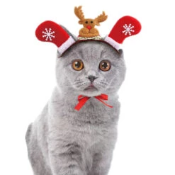 Show Tech Xmas Reindeer Accessory M -Pawfect Care Store 35ste181 2 fa8q1u0egfmh6lru