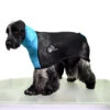 Show Tech+ Mesh Straightening Coat For Medium Cavaliers And Cockers -Pawfect Care Store 35stp001 2 50c03pl5hgnxuxzu