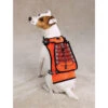 Zack & Zoe Safety Vest With Holder Drink M 30-40cm Attire 1 Zack & Zoe Safety Vest With Holder Drink M 30-40cm Attire -Pawfect Care Store 35zzo009 12x 3fxbu5d681fjdkh8
