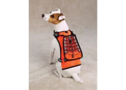 Zack & Zoe Safety Vest With Holder Drink L 40-50cm Attire