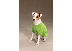 Zack & Zoe Zack&Zoey Polo Shirt Parrot Green XXS - 15cm Attire