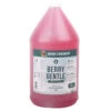 Natures Specialties Berry Gentle Shampoo 3.8 L 1 Natures Specialties Berry Gentle Shampoo 3.8 L -Pawfect Care Store 41nsp004 1 6dq1wxkbrpude2r0