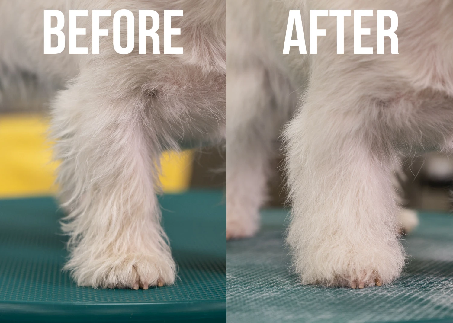 Show Tech+ Quick Clean Dry Shampoo 200 Ml 11 Show Tech+ Quick Clean Dry Shampoo 200 Ml - Image 9