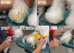 Show Tech+ Quick Clean Dry Shampoo 200 Ml 19 Show Tech+ Quick Clean Dry Shampoo 200 Ml -Pawfect Care Store 41stp019 2 7nfo3nxw3kylel7h