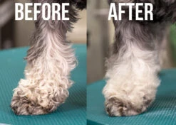 Show Tech+ Quick Clean Dry Shampoo 200 Ml 21 Show Tech+ Quick Clean Dry Shampoo 200 Ml -Pawfect Care Store 41stp019 9 humlll9pgsohhrti