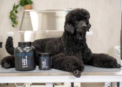 Show Tech+ Super Clean 40 Shampoo 1 L -Pawfect Care Store 41stp021 1 rbni04dnezpnknhh