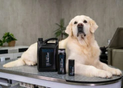 Show Tech+ Pure Coat Degreasing Shampoo 300 Ml -Pawfect Care Store 41stp024 2 ur1ibmtwtbrxruy9