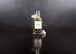 IGroom Perfume Spring 100 Ml 9 IGroom Perfume Spring 100 Ml -Pawfect Care Store 44igr006 4 6vudjhbyc8mfjczi