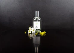 IGroom Perfume Joy 100 Ml -Pawfect Care Store 44igr014 2 w0mvbfawwcs2ys3h