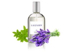 IGroom Perfume Lavender 100 Ml