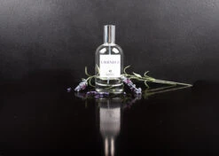 IGroom Perfume Lavender 100 Ml -Pawfect Care Store 44igr015 4 home2dj7tzbvotyc