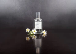 IGroom Perfume Shiso Neroli 100 Ml -Pawfect Care Store 44igr020 4 216t8xmg6xakmpsl