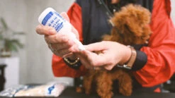 Show Tech Ear Care Lotion 250 Ml -Pawfect Care Store 54ste004 2 jgajsntfq1h267ae