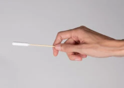 Show Tech Bamboo Cotton Buds 50 Pcs – XL -Pawfect Care Store 54ste011 4 rmd73byemiipthty