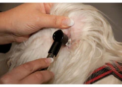 Show Tech Otoscope - Penlight (batteries Included)