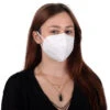 Non Woven Disposable Nanofiber N-95 Mask 4 Layers - 1pc 1 Non Woven Disposable Nanofiber N-95 Mask 4 Layers - 1pc -Pawfect Care Store 58tik002 1 rhdngwyniflwxtm6