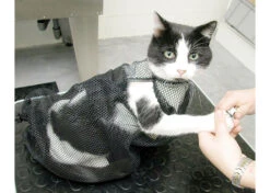 Show Tech Cat Bag -Pawfect Care Store 62ste001 32x 8idnnlguc22bmawv