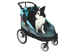 Petstro Large 4-Wheel Buggy,Turquoise/Grey -Pawfect Care Store 63pst023 2 t3ug986rd68tqe9b