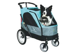 Petstro Large 4-Wheel Buggy,Turquoise/Grey -Pawfect Care Store 63pst023 m3hw0uhun129mklo