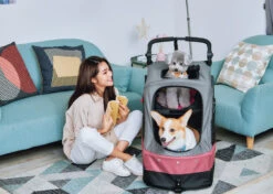 Petstro 3-Wheel Buggy Grey/Pink - M 7 Petstro 3-Wheel Buggy Grey/Pink - M -Pawfect Care Store 63pst029 cua9v0mbnxbaomcg