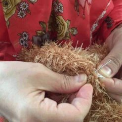 Oomaloo Candy With A Squeaker Medium Pink & Green 19 Cm -Pawfect Care Store 64oom001 6 qekxoe2vxixovr7k