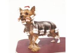 Show Tech Rice Paper White 100 Pcs Wrapping Paper -Pawfect Care Store 65ste001 22x oyrpklurpm8vamr4