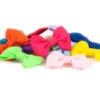 Show Tech Multicolor Bows With Elastic 50 Pcs Bows -Pawfect Care Store 65ste608 12x hzxethnrjltlaqdk