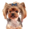 Show Tech Polka Dot Bows With Clip 6 Pcs Bows -Pawfect Care Store 65ste611 22x rhqjlhqaz9owj18d